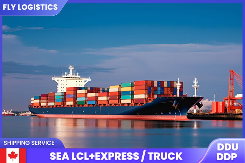 Lcl Sea shipping freight service from China to Canada